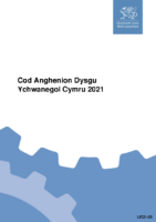 Cod Anghenion Dysgu Ychwanegol Cymru 2021