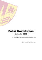 Polisi Gwrth-fwlian 06/2019